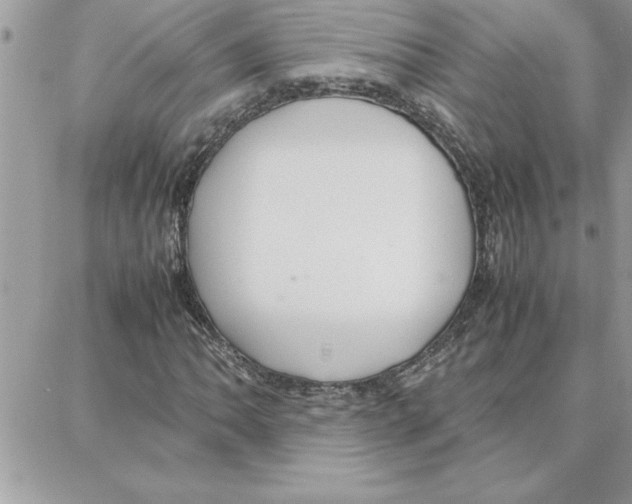 X0000087751062200706041056