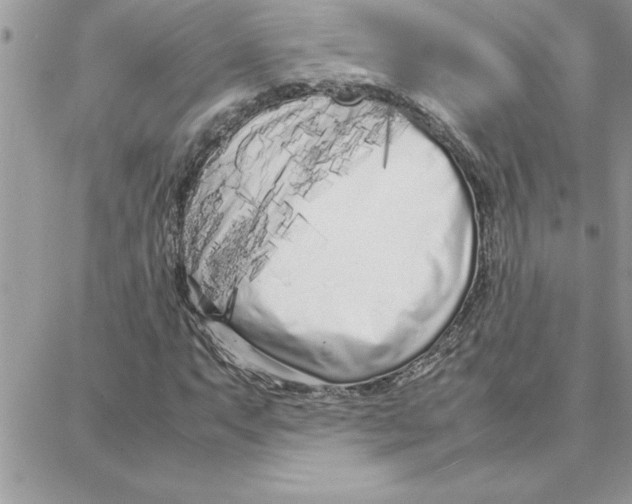 X0000087751063200706041056