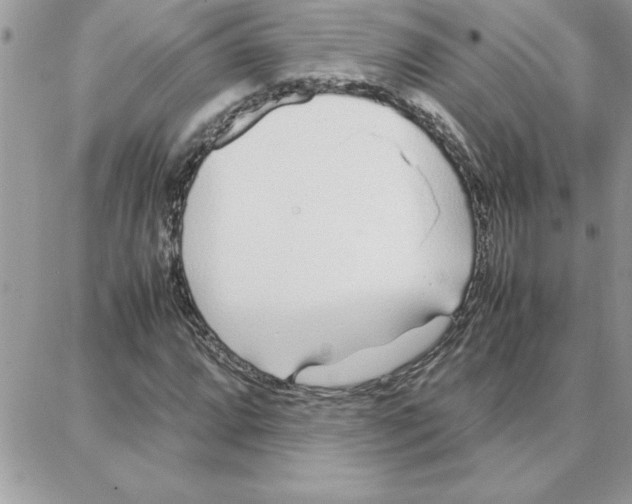 X0000087751064200706041056