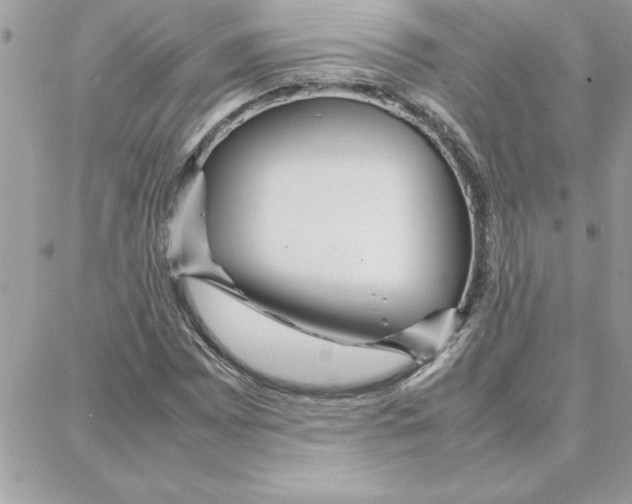 X0000087751065200706041056