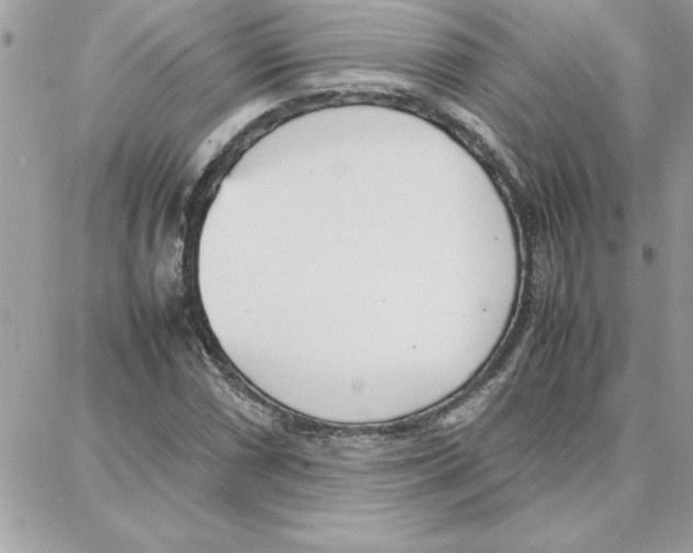 X0000087751066200706041056