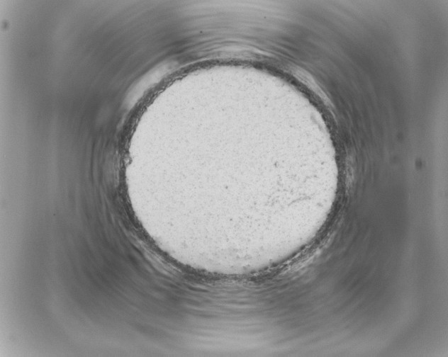 X0000087751067200706041056