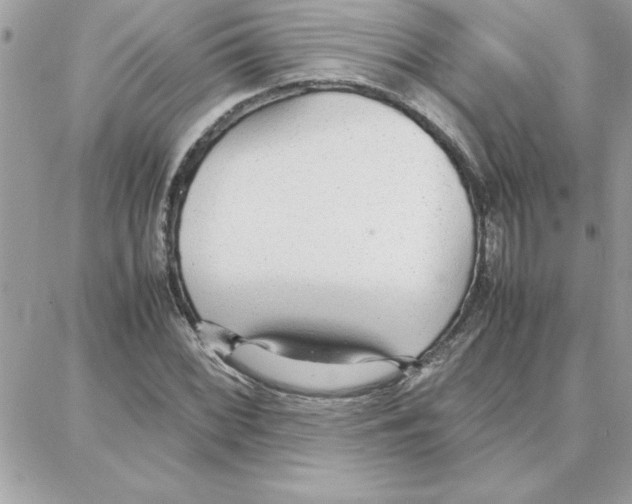 X0000087751068200706041056