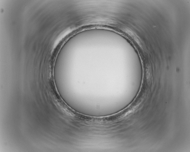 X0000087751069200706041056