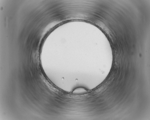 X0000087751072200706041056