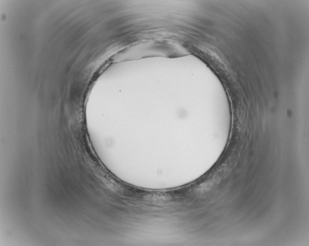 X0000087751073200706041056