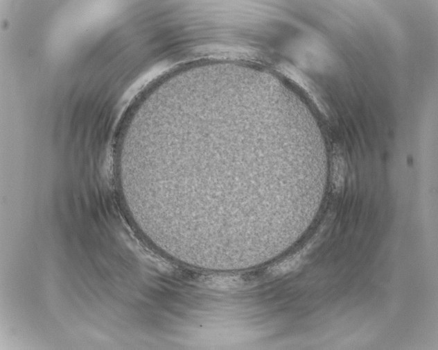 X0000087751074200706041056