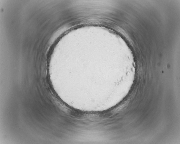 X0000087751075200706041056