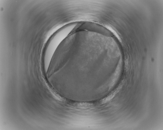 X0000087751077200706041056