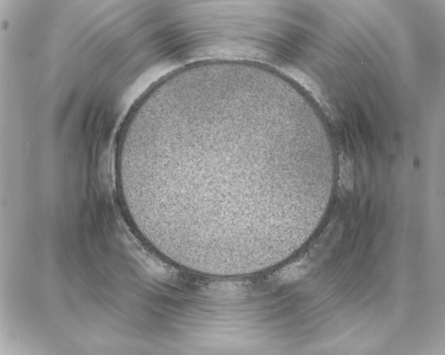 X0000087751078200706041056