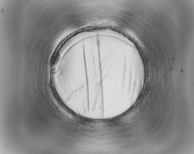 X0000087751079200706041056