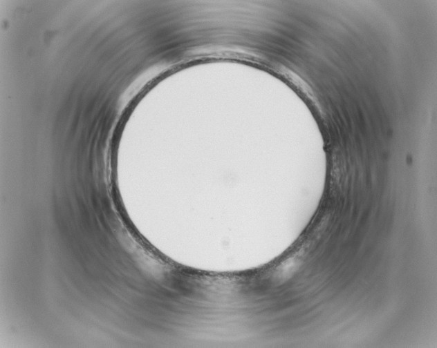 X0000087751082200706041056