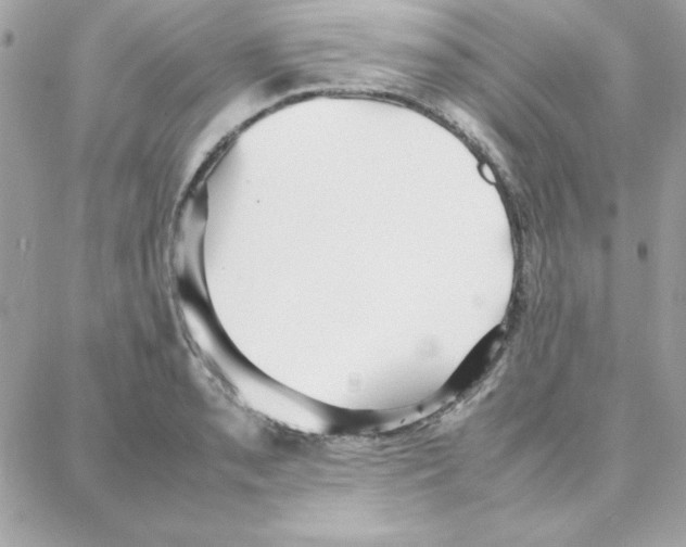 X0000087751085200706041055