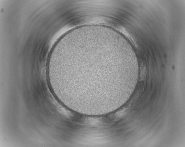 X0000087751086200706041055