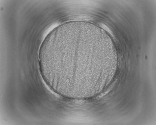 X0000087751087200706041055