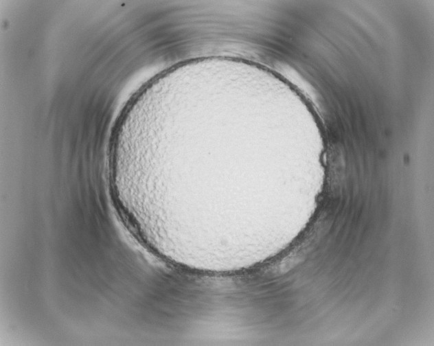 X0000087751088200706041055