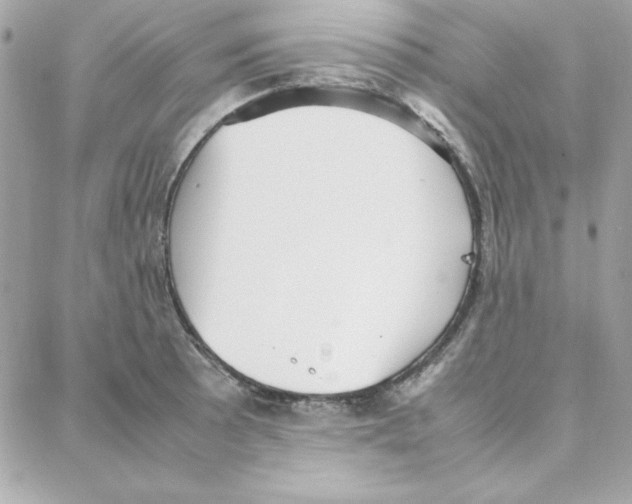 X0000087751089200706041055