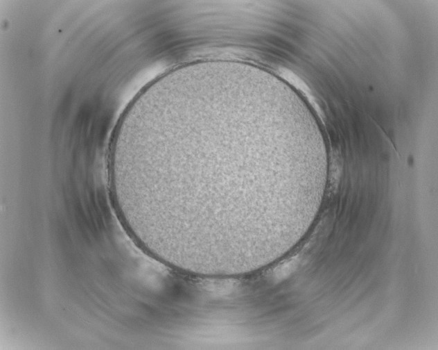 X0000087751090200706041055