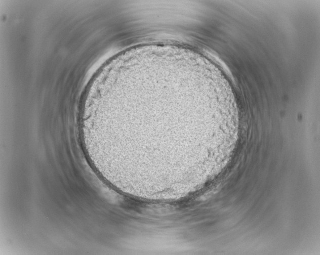 X0000087751091200706041055