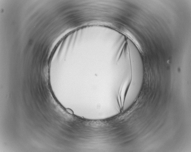 X0000087751092200706041055