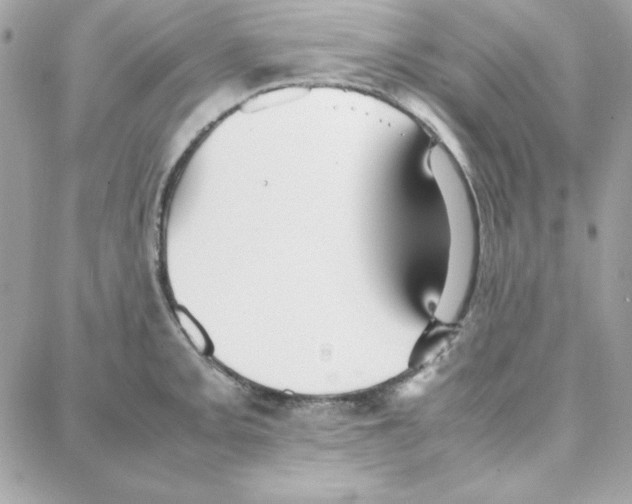 X0000087751093200706041055