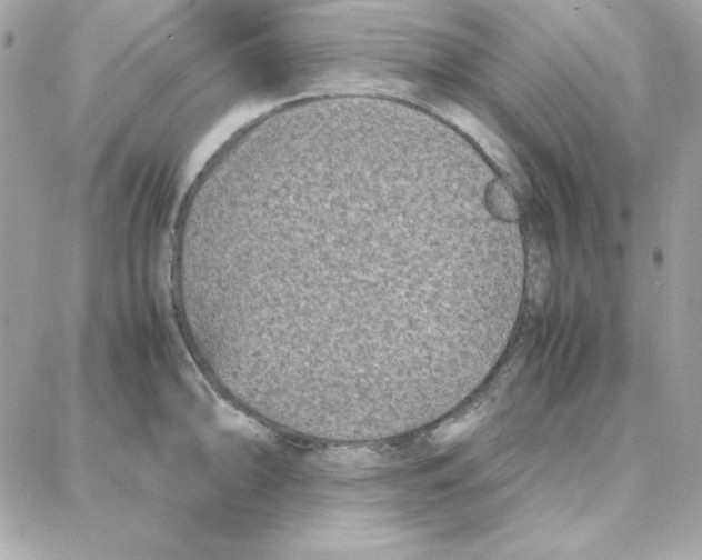 X0000087751094200706041055