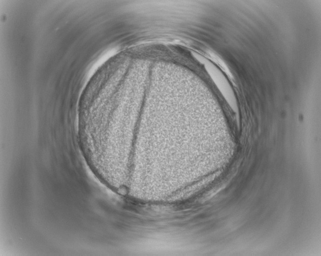 X0000087751095200706041055