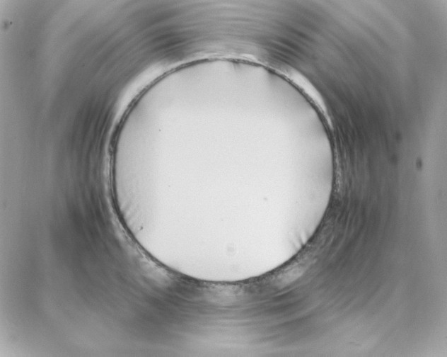 X0000087751096200706041055