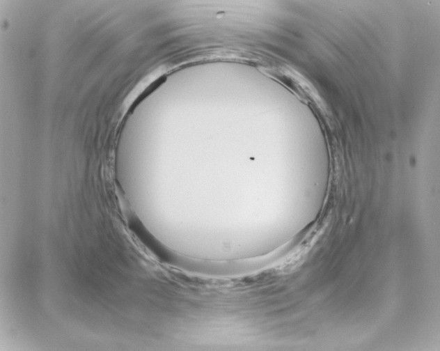 X0000087751097200706041055