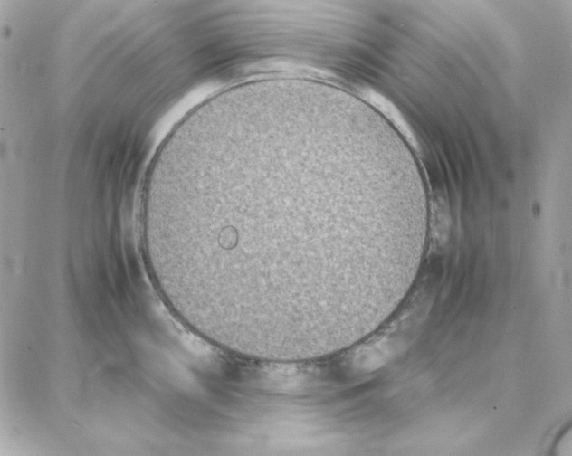 X0000087751098200706041055