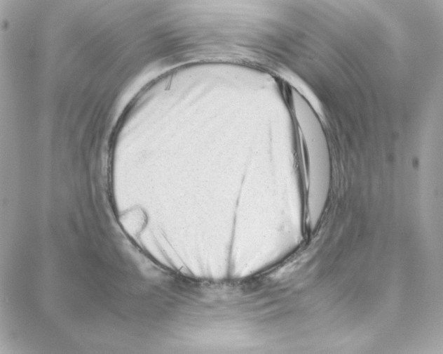 X0000087751099200706041055