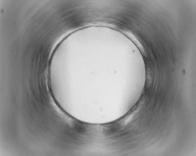 X0000087751100200706041055