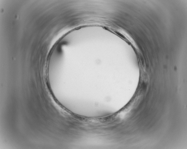 X0000087751101200706041055