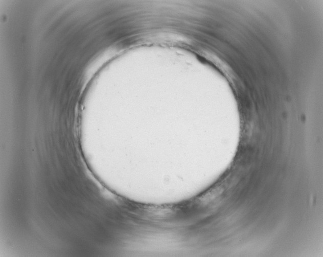 X0000087751103200706041055