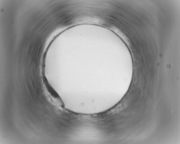 X0000087751104200706041055