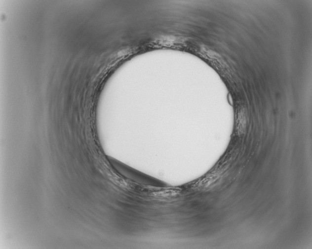 X0000087751105200706041054