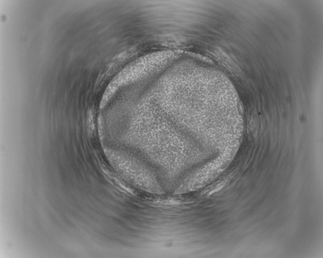 X0000087751106200706041054