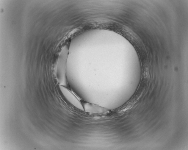 X0000087751108200706041054