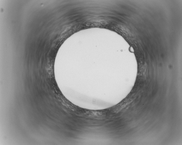 X0000087751109200706041054