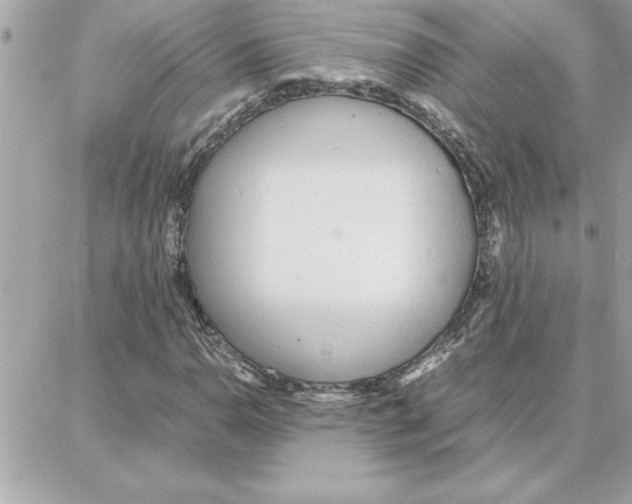 X0000087751110200706041054