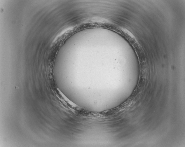 X0000087751112200706041055