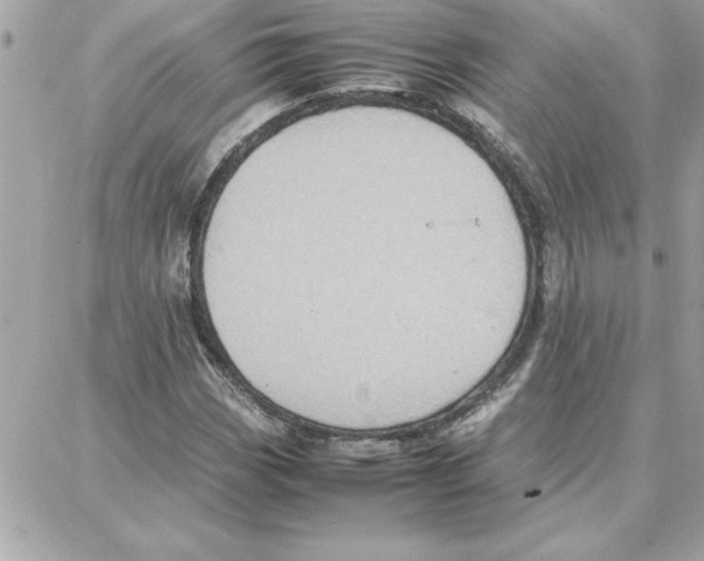 X0000087751113200706041055