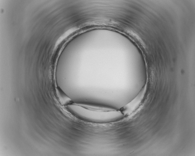 X0000087751114200706041055