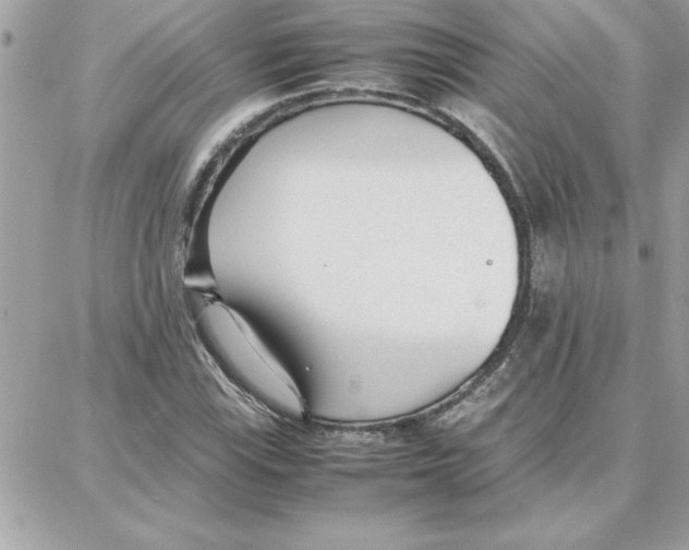 X0000087751115200706041055