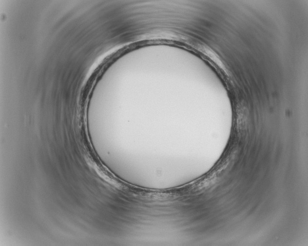 X0000087751116200706041055