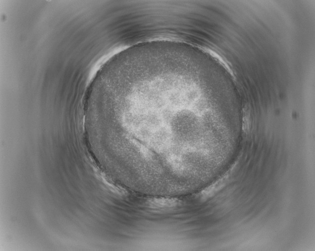 X0000087751117200706041055