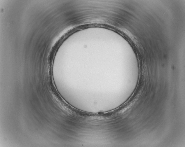 X0000087751118200706041055