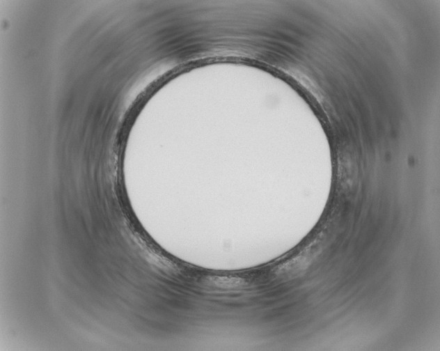 X0000087751119200706041055