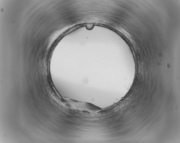 X0000087751120200706041055