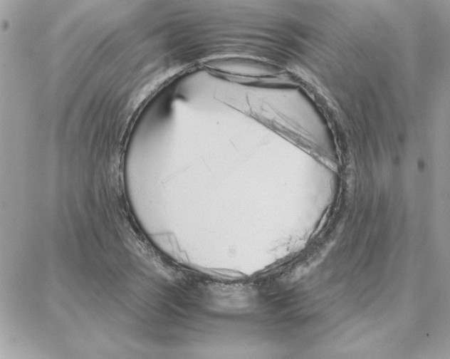 X0000087751121200706041055